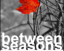 Review: Between Seasons by Aida Brassington