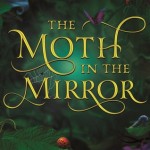 moth mirror