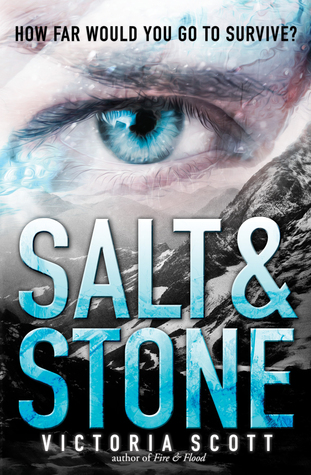 salt and stone