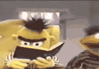 bert wtf with book gif