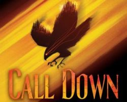 Review: Call Down the Hawk by Maggie Stiefvater