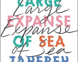 Review: A Very Large Expanse of Sea by Tahereh Mafi